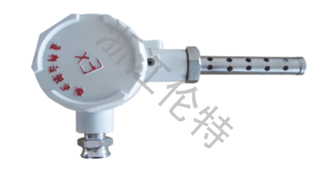 Indoor Thermometer